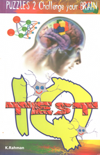 Puzzles 2: Challenge Your Brain (IQ Test), book cover from Innovative Books.