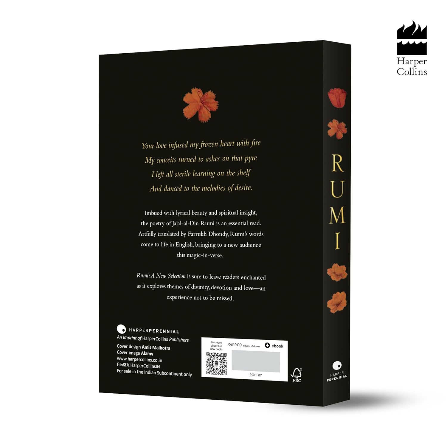 Rumi: A New Selection