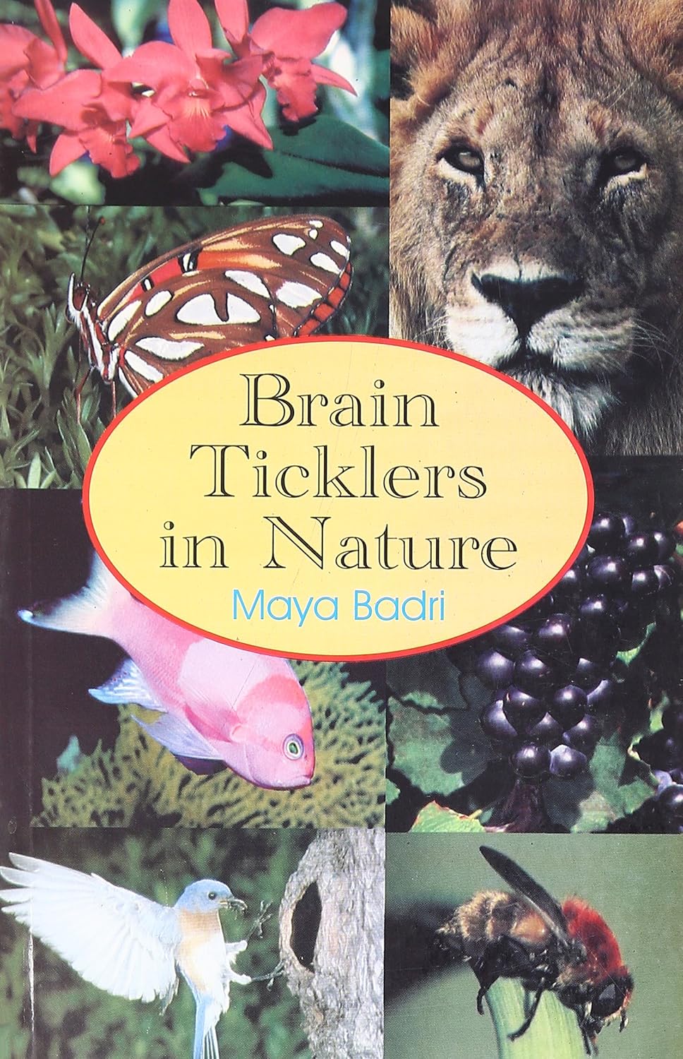 Brain Ticklers in Nature - Year 2024